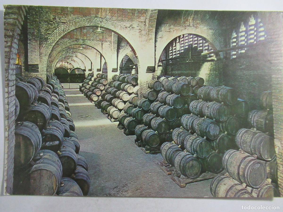 Postales: Cavas Codorniu - Una bodega - S/C - Foto 1