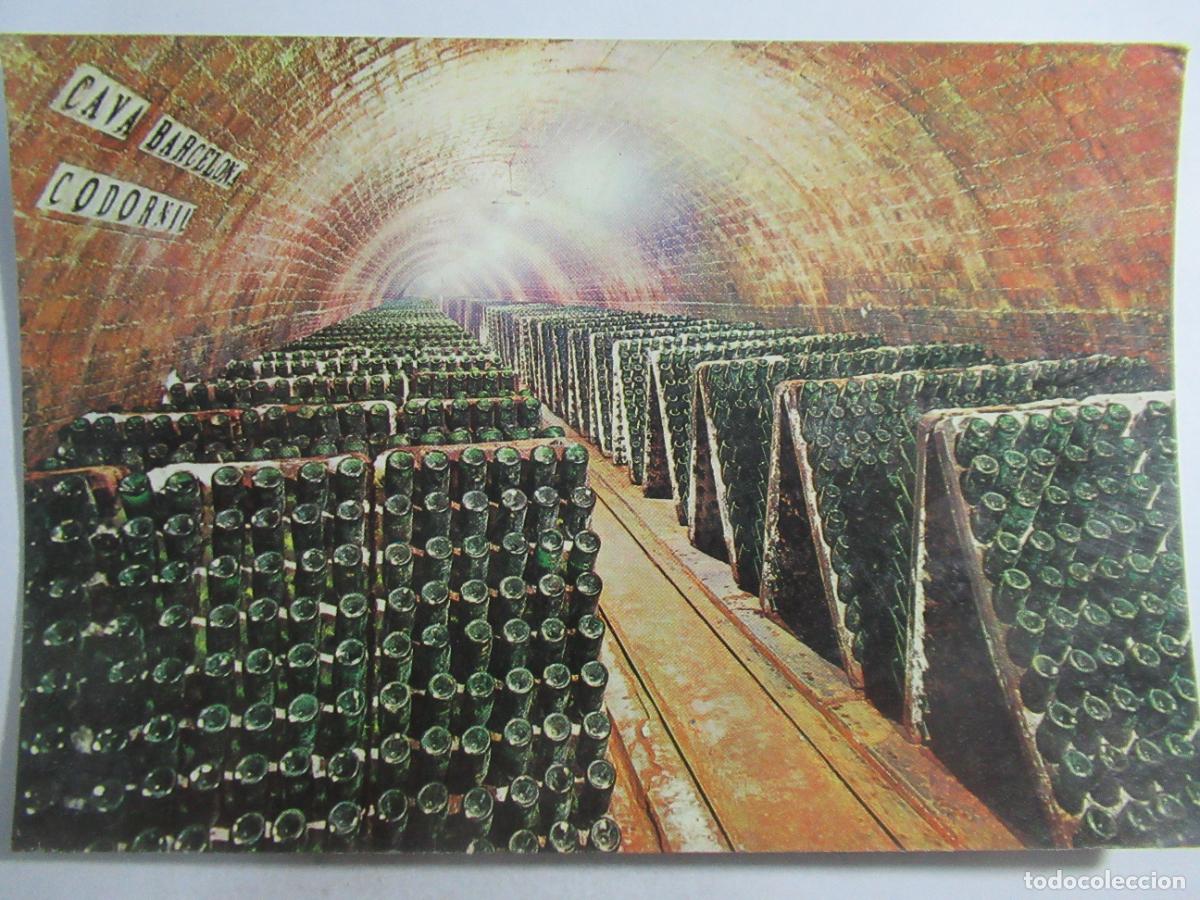Postales: Cavas Codorniu - Botellas en Pupitre - S/C - Foto 1