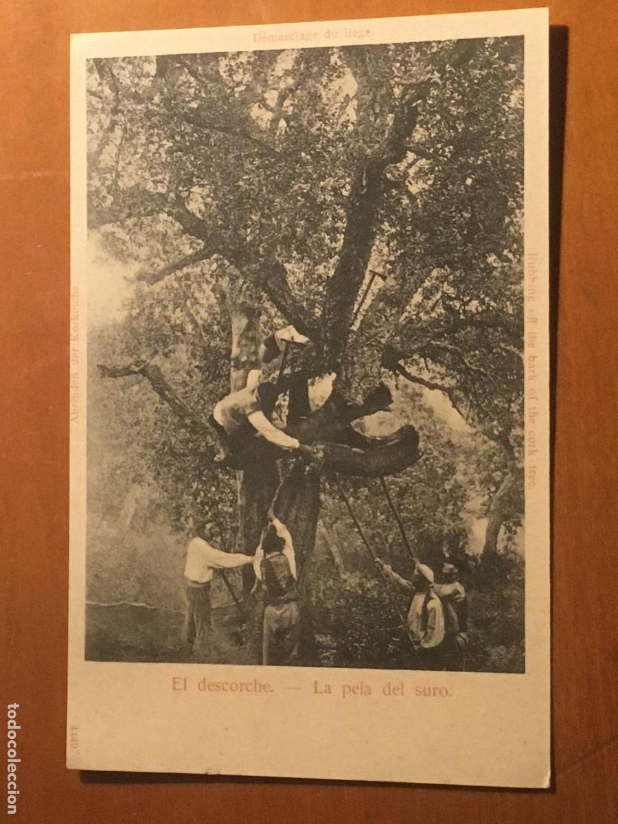 Postales: san feliu guixols industria corcho-taponera n&ordm; 2 postal original antigua