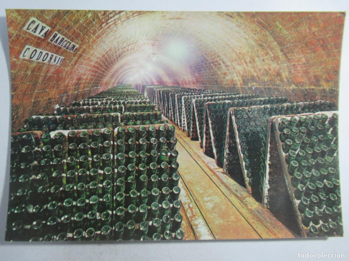 Postales: San Sadurn&iacute; de Noya (Barcelona) - Cavas Codorniu - Bodegas en Pupitre - S/C