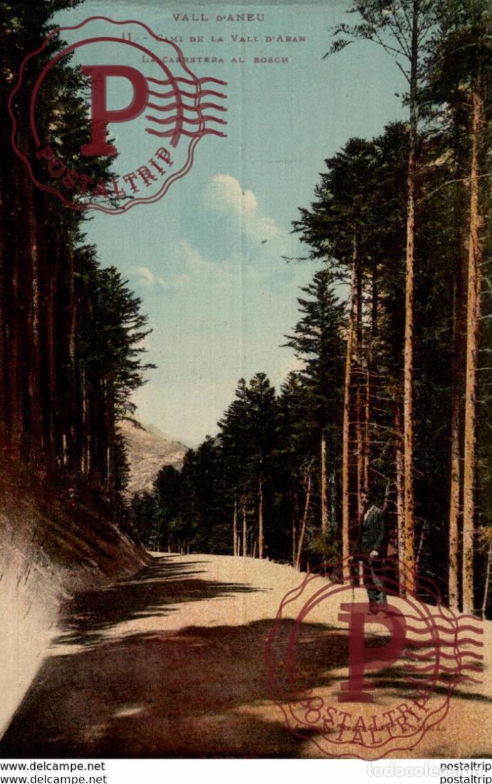 Postales: VALL DANEU.- N&ordm; 11, CAMI DE LA VALL DARAN- LA CARRETERA AL BOSCH.
