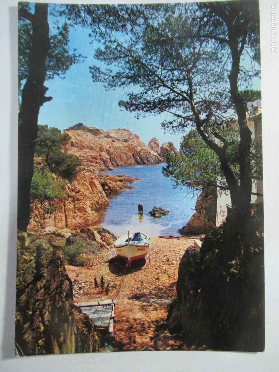 Postales: Costa Brava - Aigua Xelida. Cala - S/C