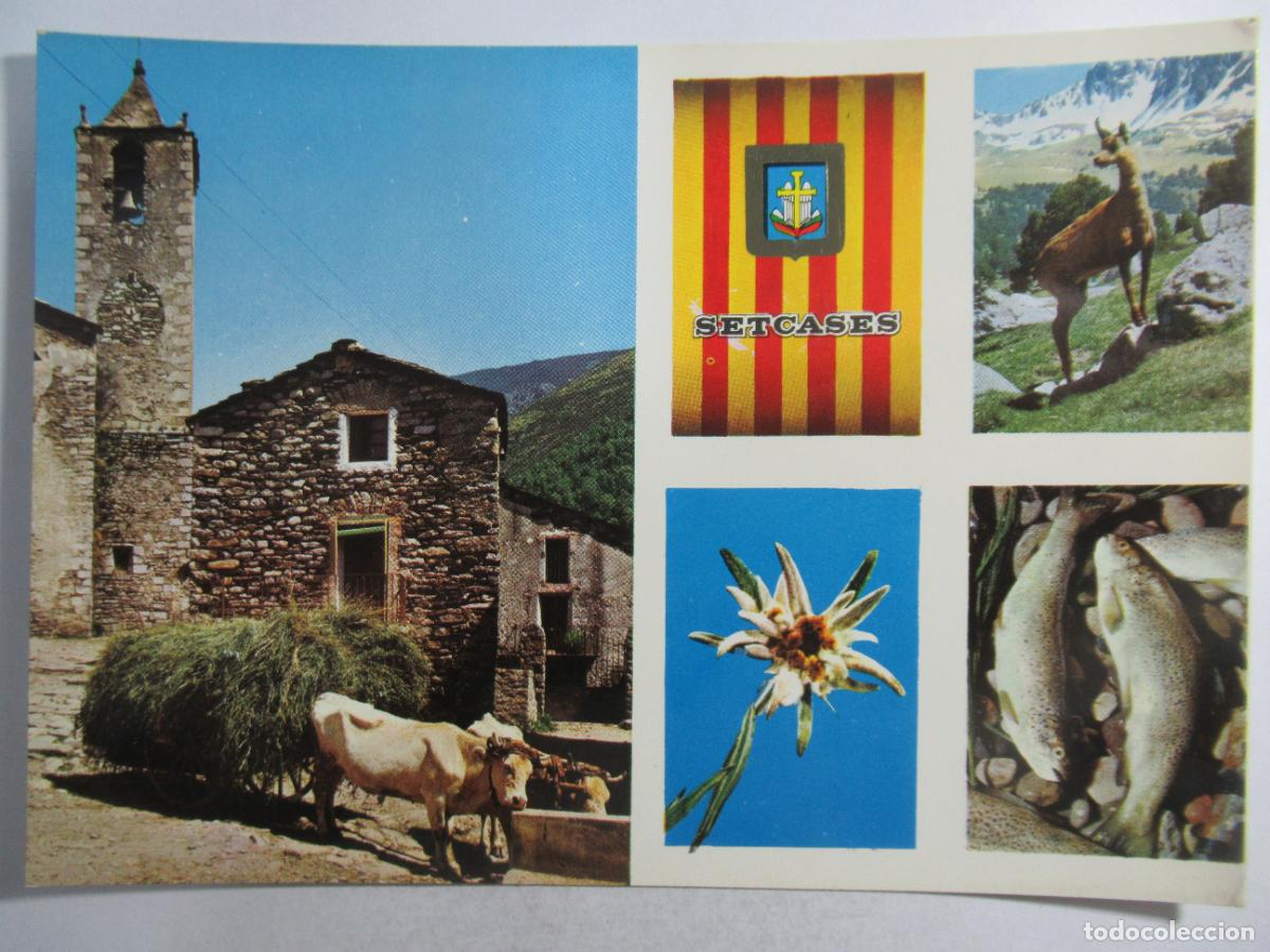 Postales: Setcases (Girona) - S/C - Foto 1