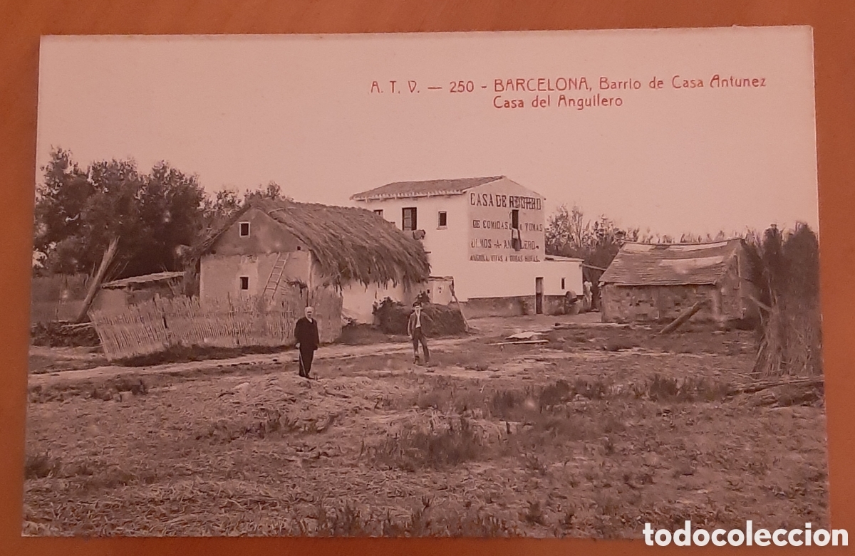 Postales: Postal Barcelona. Barrio de Casa Antunez. Sin escribir. R9894