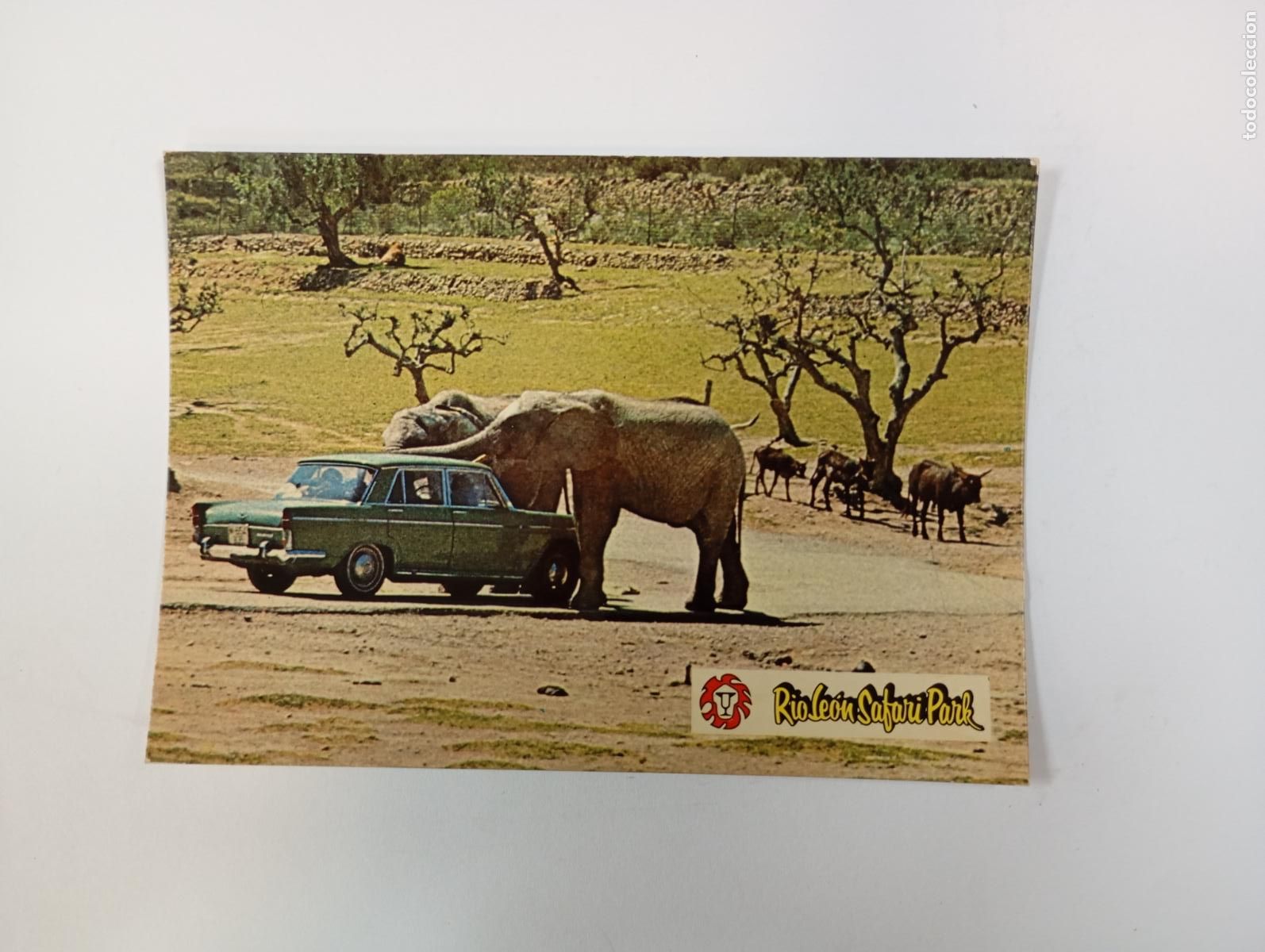 Postales: POSTAL DE RIO LE&Oacute;N SAFARI PARK TARRAGONA. TDKP26Z3