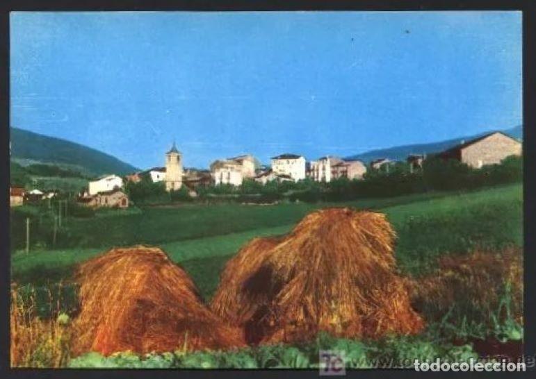 Postales: Planoles. *Vista general* Ed. Artigues. Nueva.