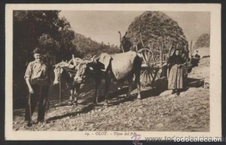 Cartoline: Olot. *Tipus del Pa&iuml;s* Ed. Ram&oacute;n Bonet n&ordm; 19. Nueva.