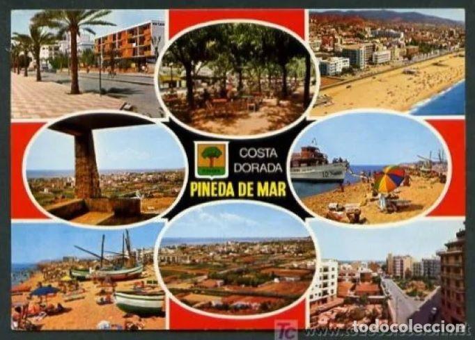 Cartoline: Pineda de Mar. Maresme.  Edc. Campa&ntilde;a y Puig-Ferran n&ordm; B-1314m.  Nueva.