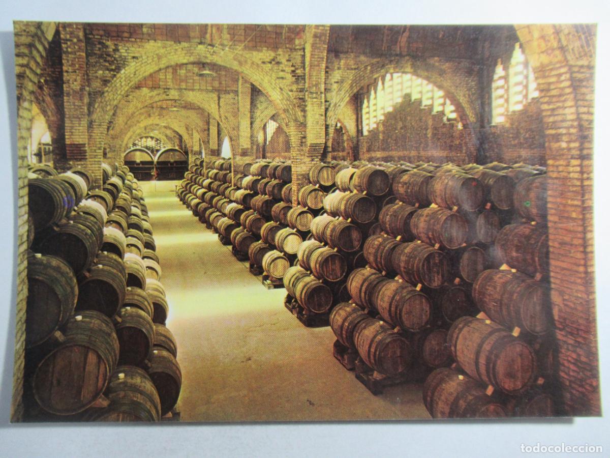 Postales: Cavas Codorniu - Una bodega - S/C - Foto 1