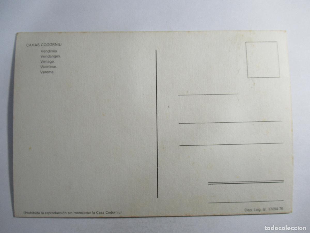 Postales: Cavas Codorniu - Vendimia - S/C - Foto 2