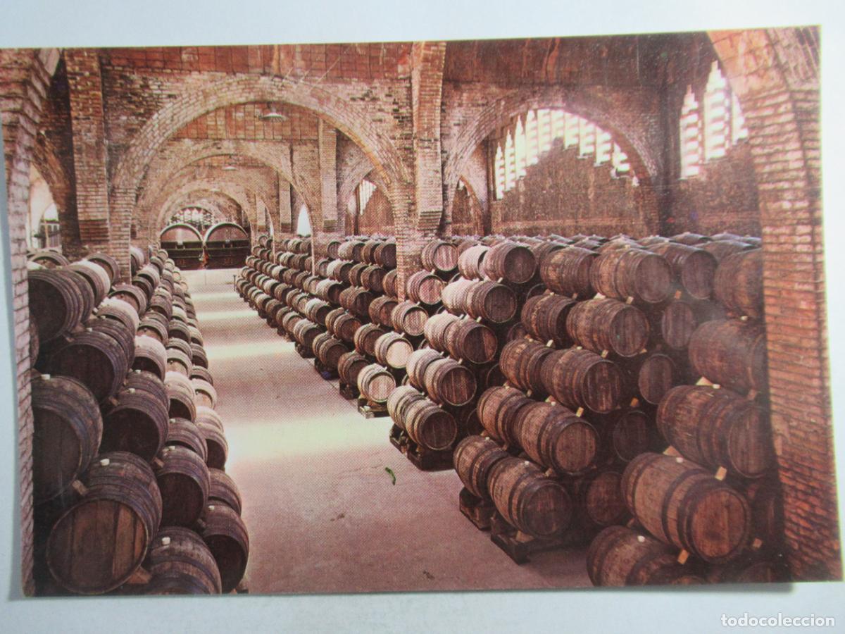Postales: Cavas Codorniu - Una Bodega - S/C - Foto 1