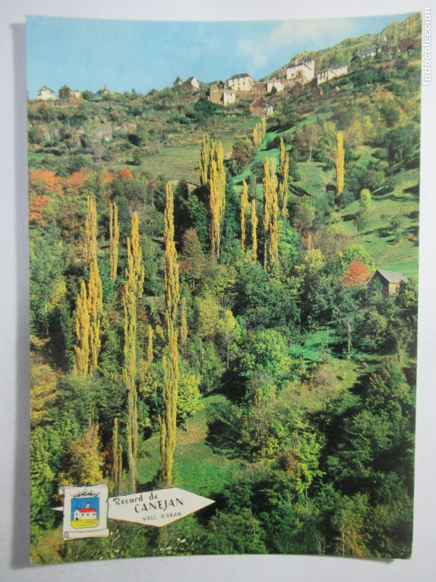 Postales: Valle de Ar&aacute;n - Canjean - Vista general - S/C