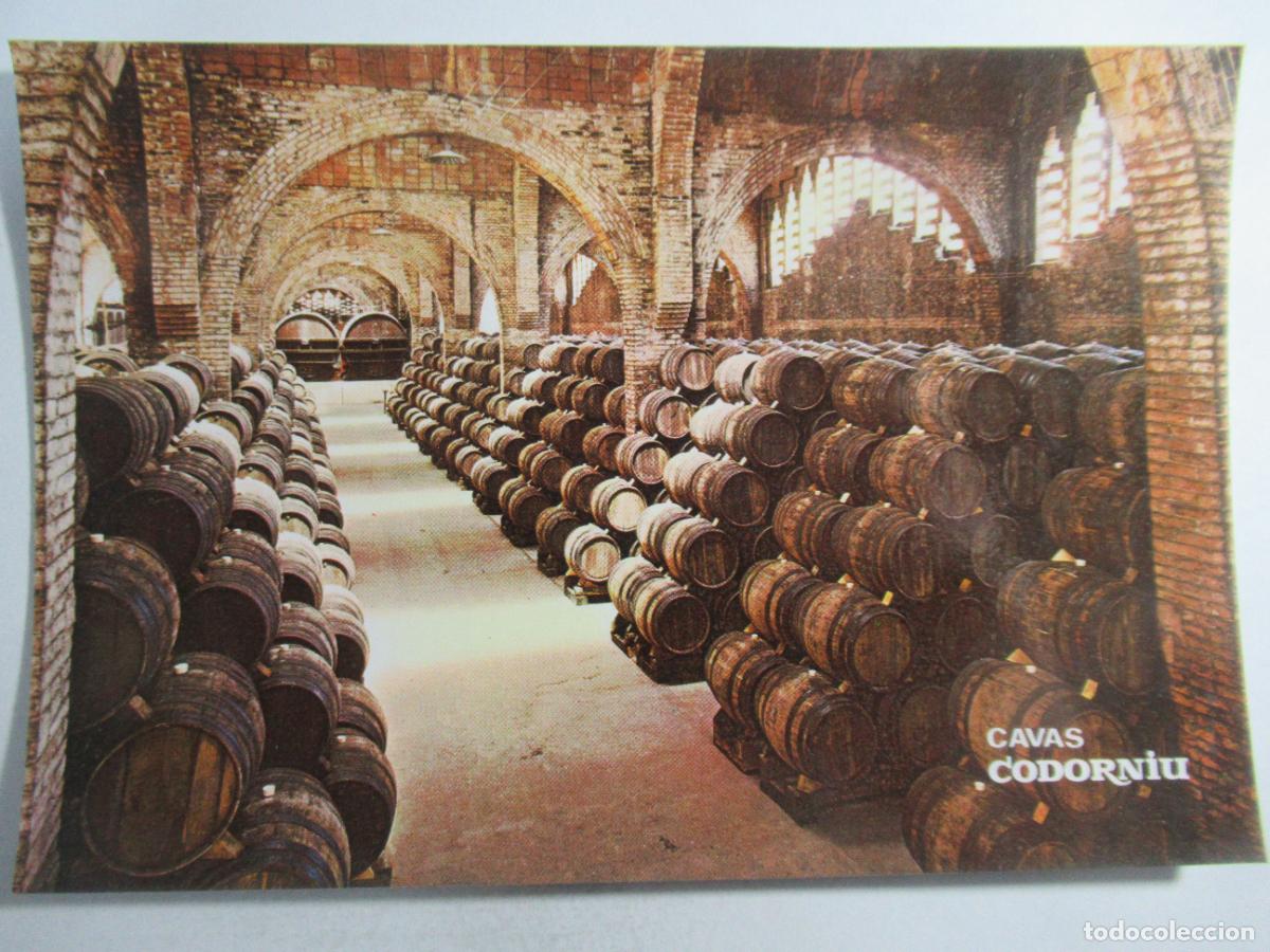 Postales: Cavas Codorniu - Una bodega - S/C - Foto 1