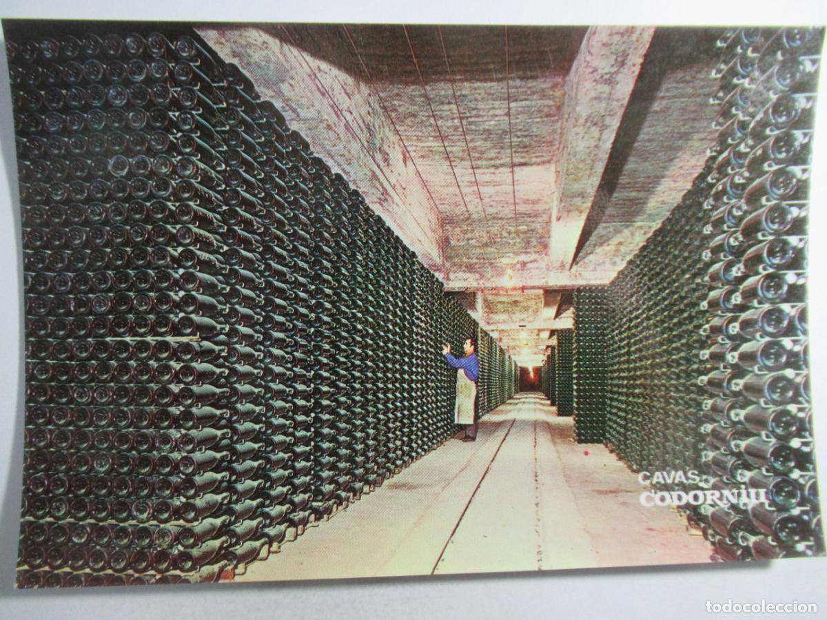 Postales: Cavas Codorniu - Botellas envejeciendo - S/C - Foto 1