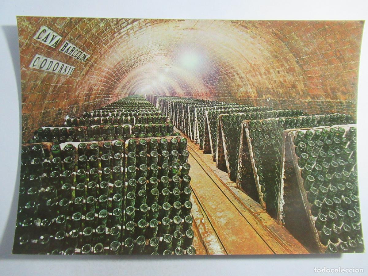 Postales: Cavas Codorniu - Botellas en Pupitre - S/C - Foto 1