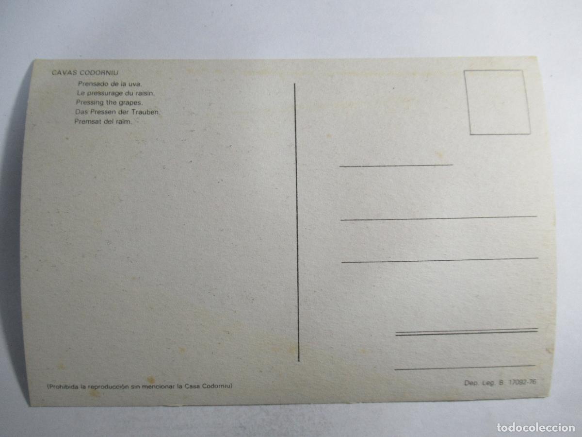 Postales: Cavas Codorniu - Prensado de la uva - S/C - Foto 2