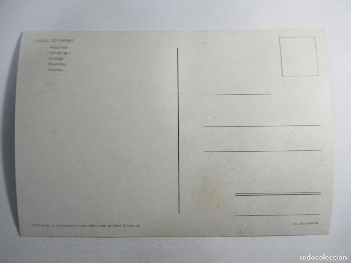 Postales: Cavas Codorniu - Vendimia - S/C - Foto 2