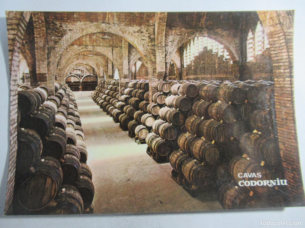 Postales: Cavas Codorniu - Una bodega - S/C - Foto 1