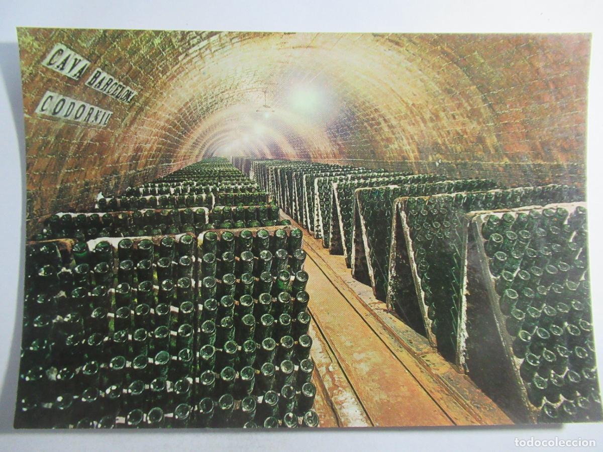 Postales: Cavas Codorniu - Botellas en Pupitre - S/C - Foto 1