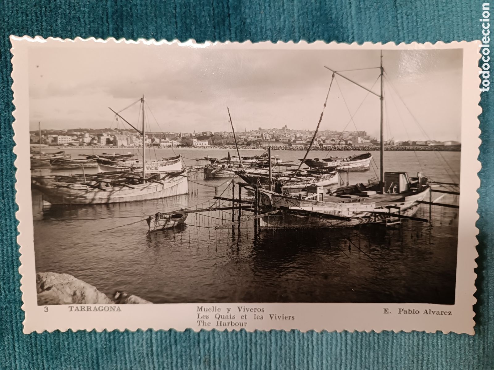 Postales: 3 TARRAGONA. Muelle y Viveros
