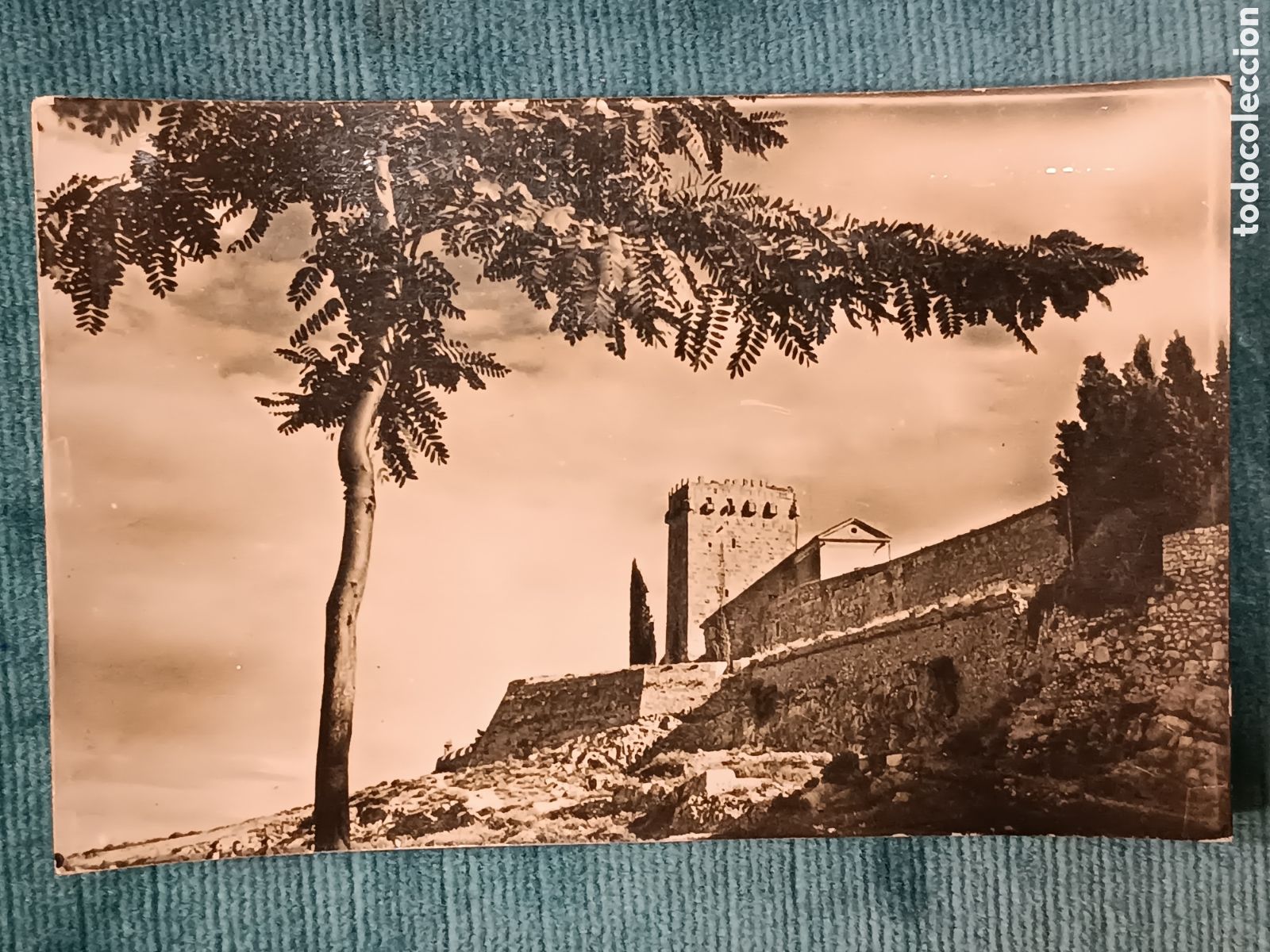 Postales: TARRAGONA 138. Paseo Arqueol&oacute;gico. Murallas (s. VI-IV a. J.C.)