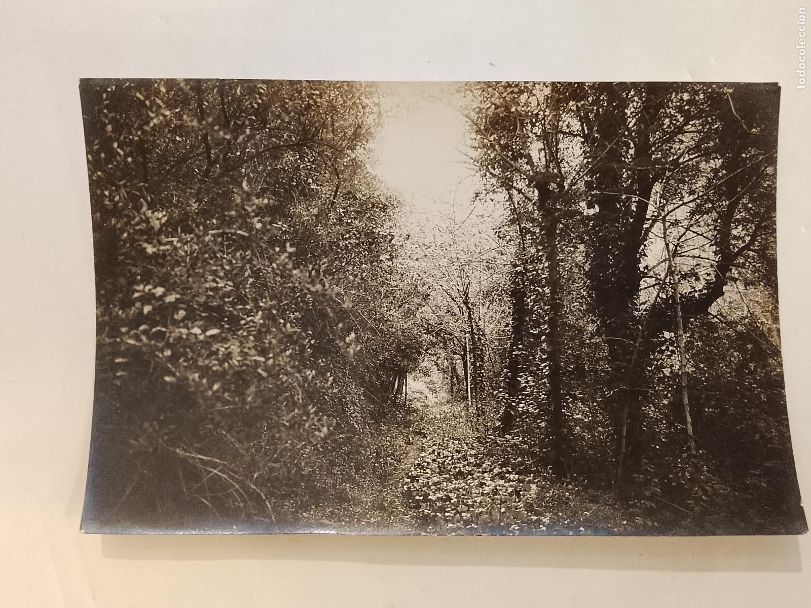 Postales: BARCELONA - UN RINCON DEL PARQUE NATURAL -ARCHIVO ROISIN-FOTOGRAFIA ANTIGUA-(115.763)