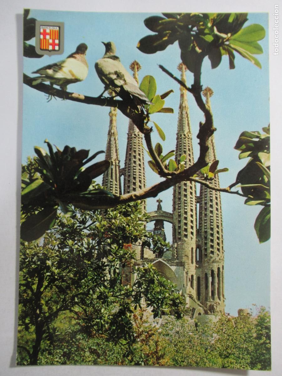 Postales: Barcelona - Templo de la Sagrada Familia - S/C