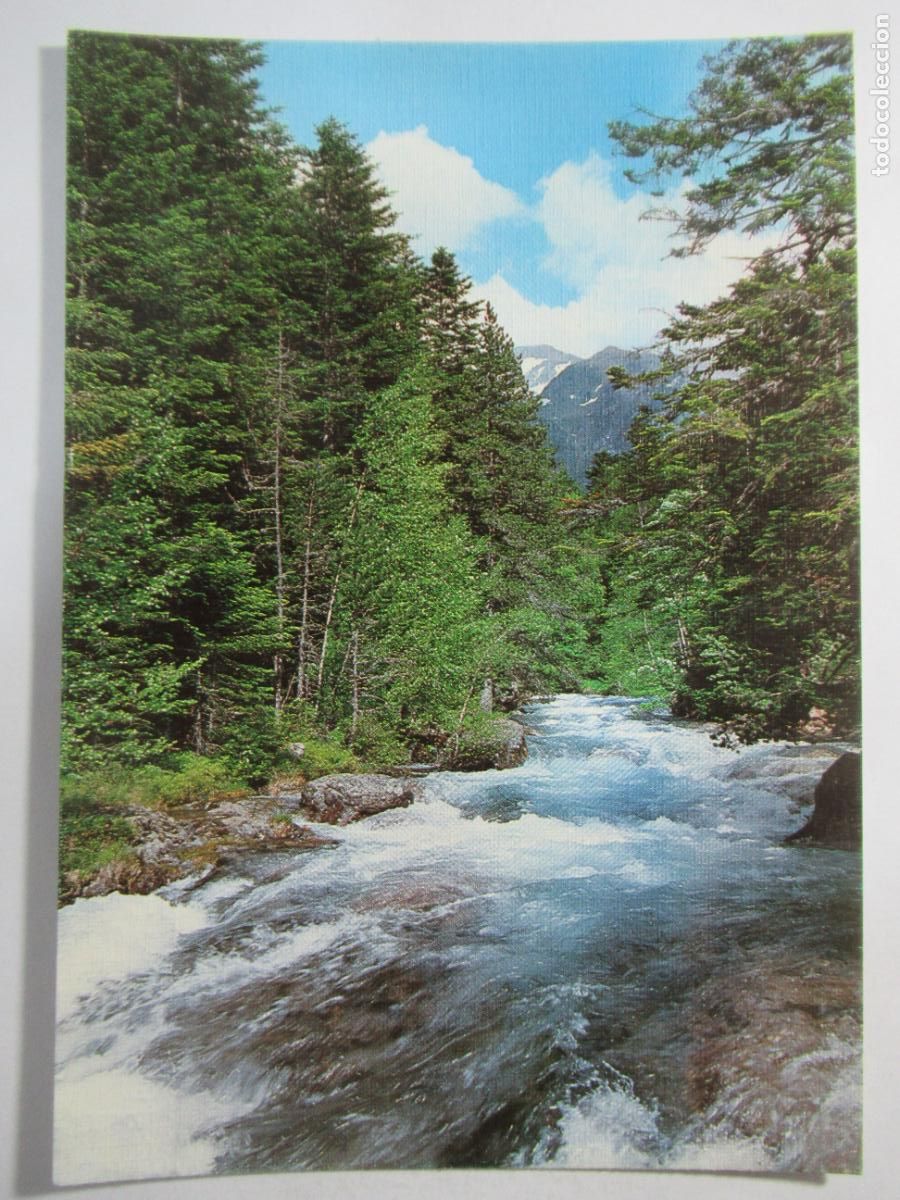 Postales: Areu (Lleida) - Vall Farrero - S/C