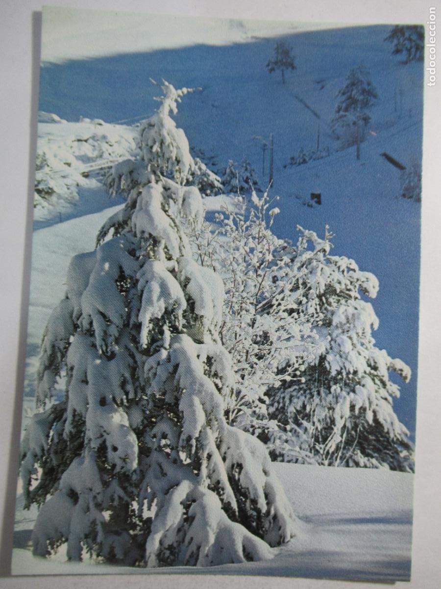 Postales: Pirineu Catal&agrave; - S/C
