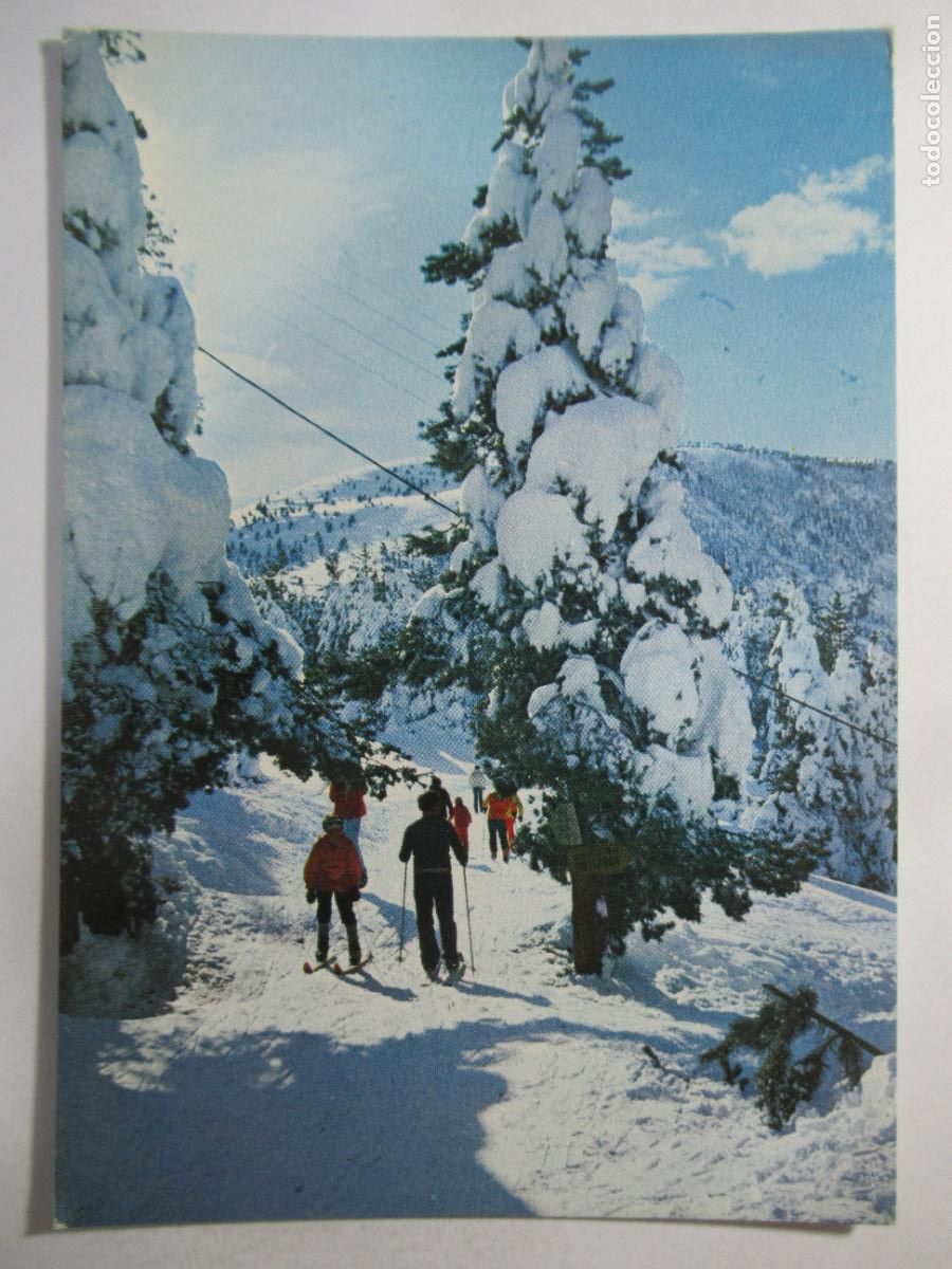 Postales: Pirineu - Tur&oacute; de la Perdiu - S/C
