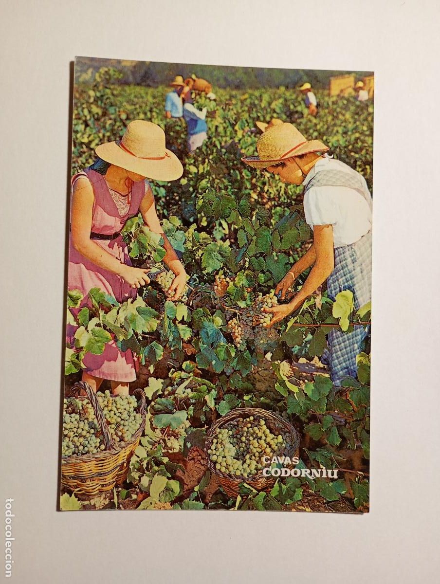 Postales: POSTAL DE ESPA&Ntilde;A. TDKP28Z3