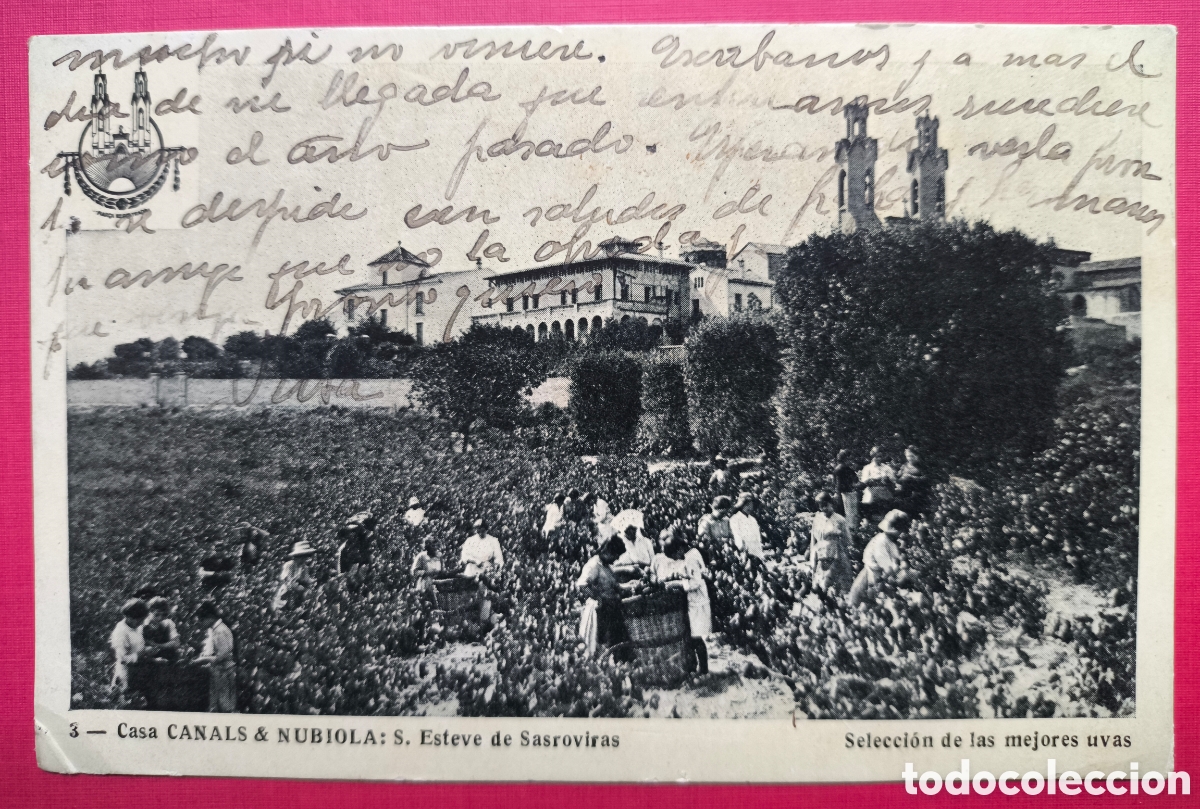 Postales: CAVA CANALS & NUBIOLA SANT ESTEVE SESROVIRES POSTAL CIRCULADA 1919