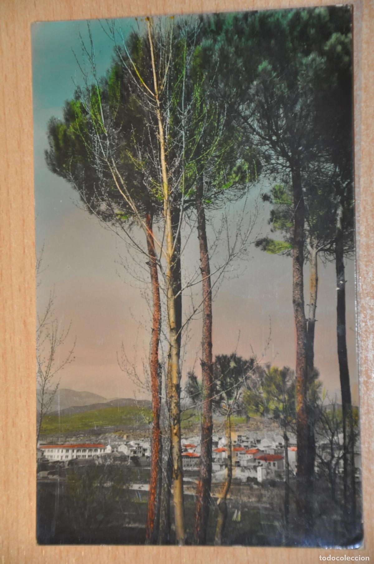 Postales: postal artesa de segre, vista parcial, foto janot