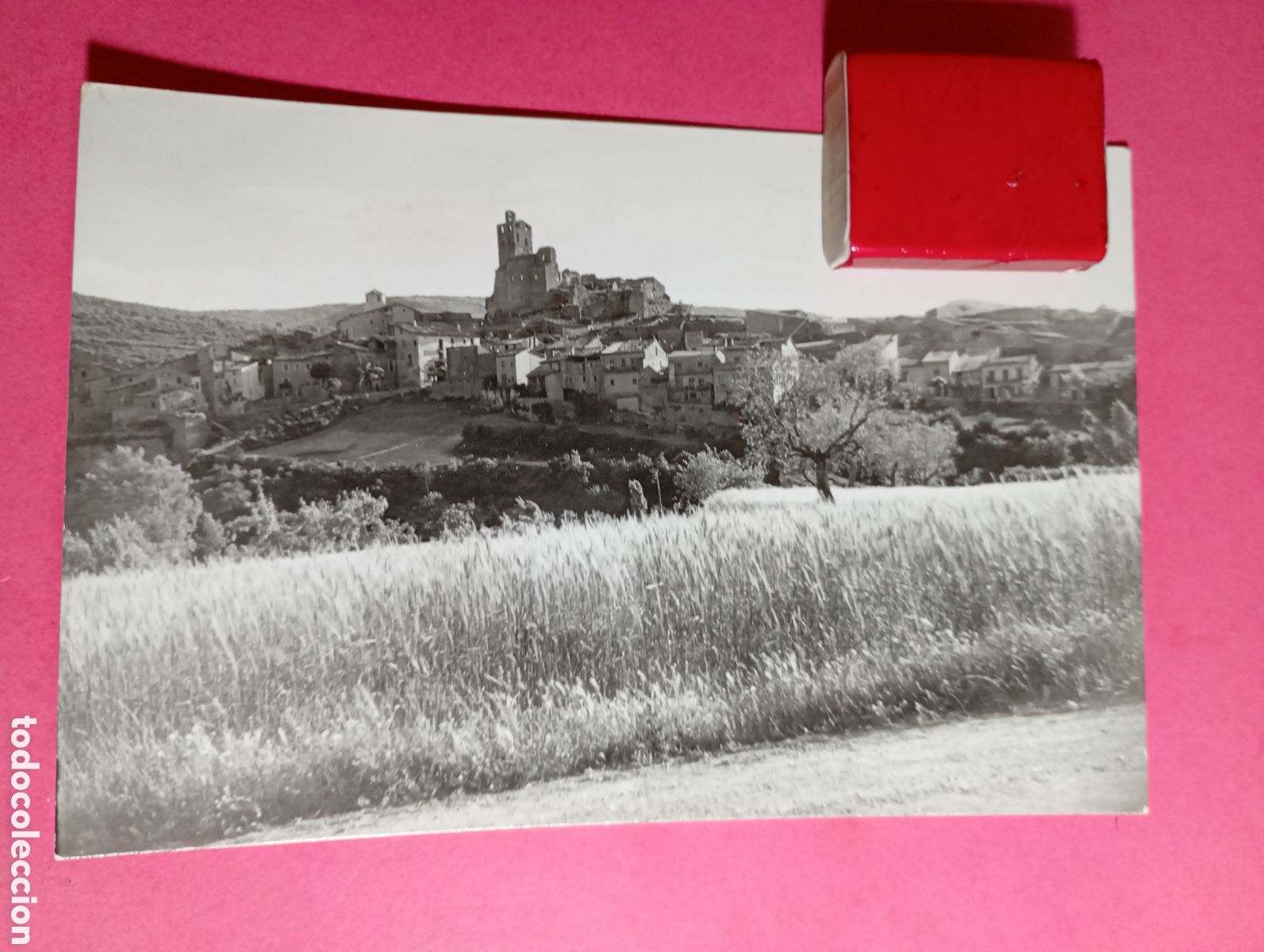 Postales: ARTESA DE SEGRE VISTA PANOR&Aacute;MICA B/N S/C FOTO CALAFELL EDIC. LE&Oacute;N BAELLA R1623