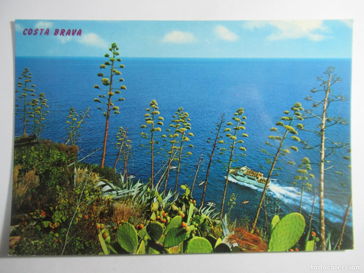 Postales: Costa Brava - Vista marina de la Costa Brava - S/C