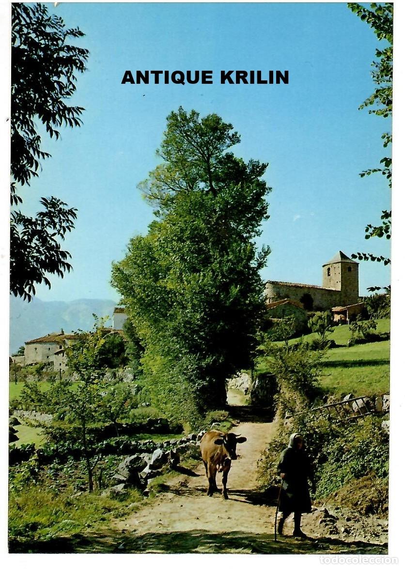 Postales: LERIDA / MUSSA DE CERDANYA / CAMINO DEL RIO / ZERKOWITZ - BAZAR VIGO / SIN FRANQUEAR