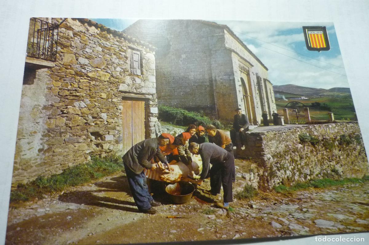 Postales: postal mollo matanza del cerdo--tipica cm