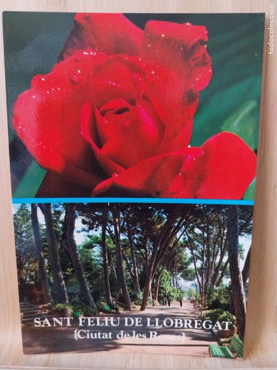 Postkarten: SANT FELIU DE LLOBREGAT PARC PARQUE ED BARCELONA 104 ESCRITA FLORES