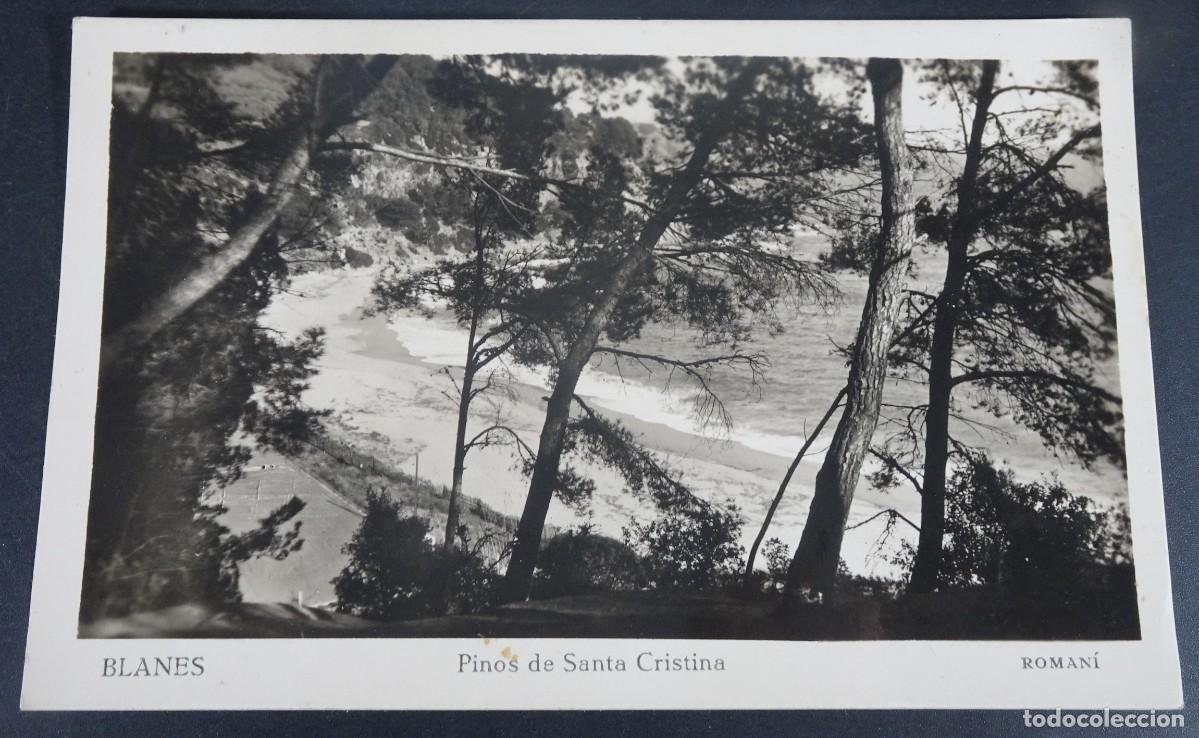 Postales: ANTIGUA POSTAL FOTOGR&Aacute;FICA CPSM ,BLANES, PINOS DE STA CRISTINA, COSTA BRAVA ,ROMAN&Iacute;, VER FOTOS