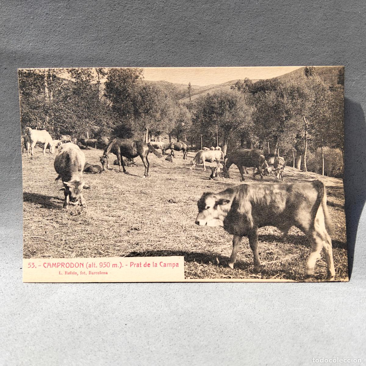 Postales: Lucien Roisin, Camprodon. Prat de la Campa