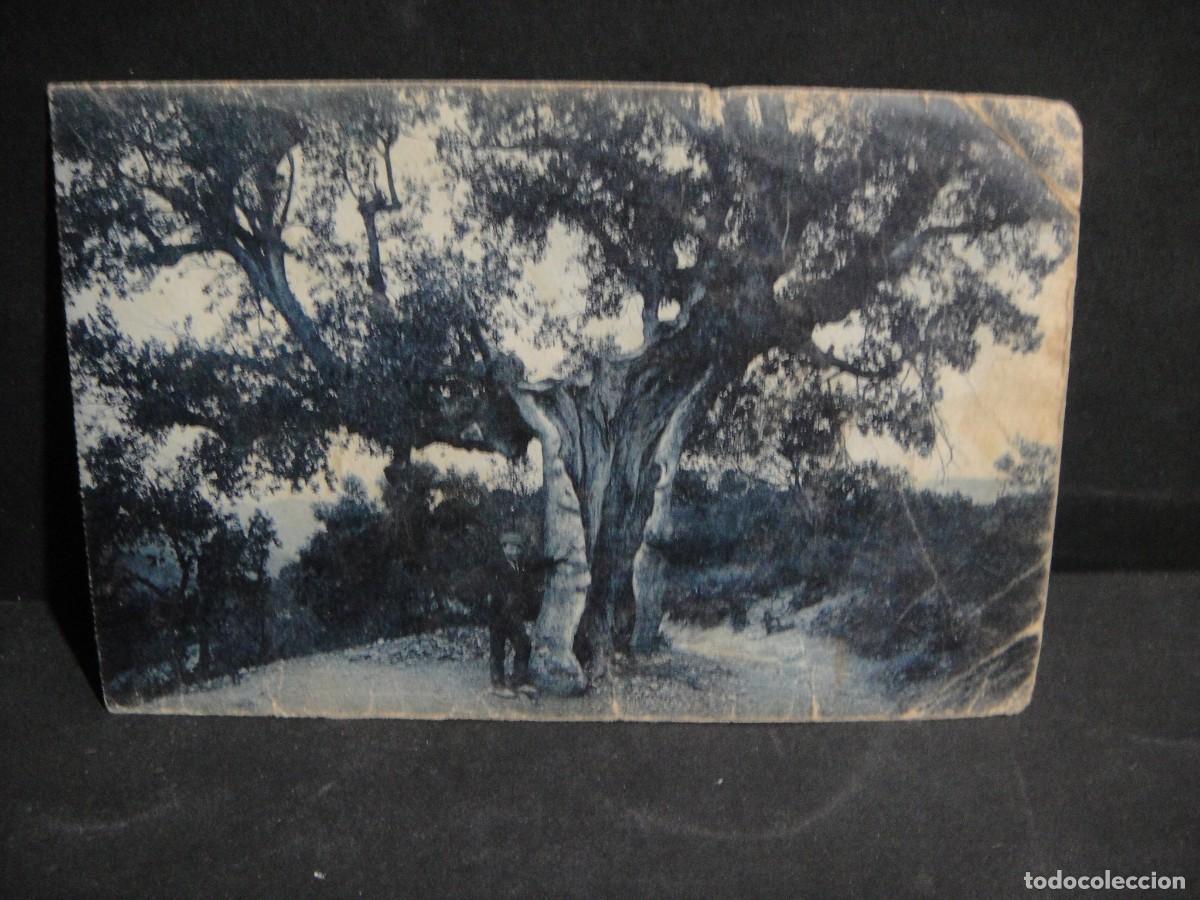 Postales: santuari de ntra sra del angels - ediciones roisin - sin circular