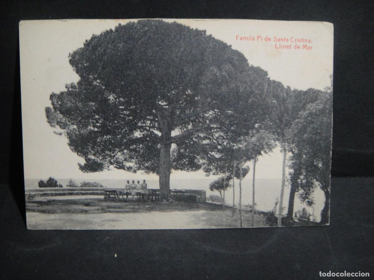Postales: lloret de mar , santa cristina - ediciones thomas - sin circular