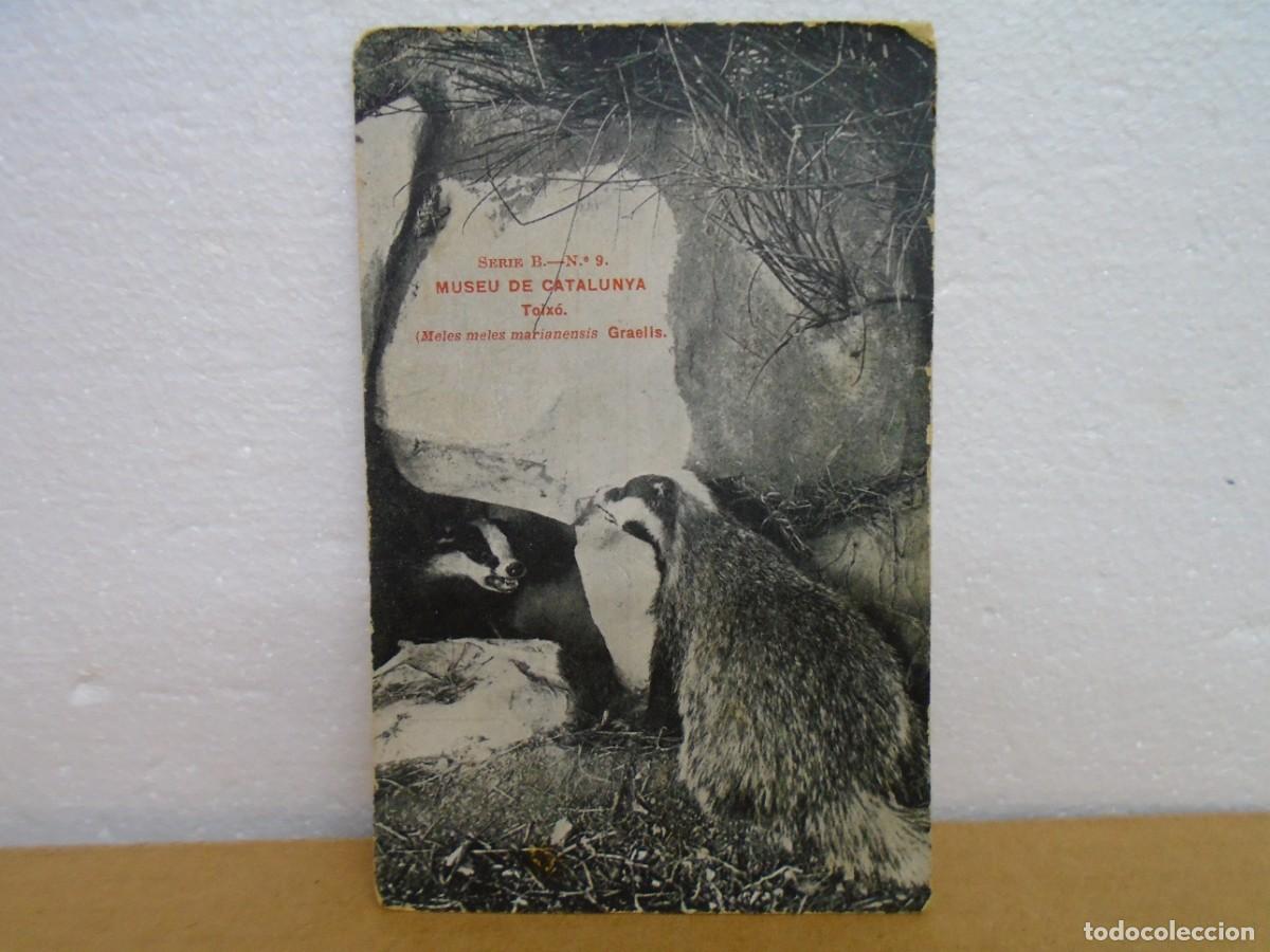 Postales: POSTAL S/C.DEL MUSEO DE CATALU&Ntilde;A.REVERSO SIN DIVIDIR,C.A.1900. RARA.