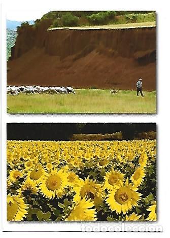 Postales: GREDERES VOLCA CROSCAT / &rdquo;GREDERES&rdquo; DEL VOLCAN CROSCAT / GIRONA