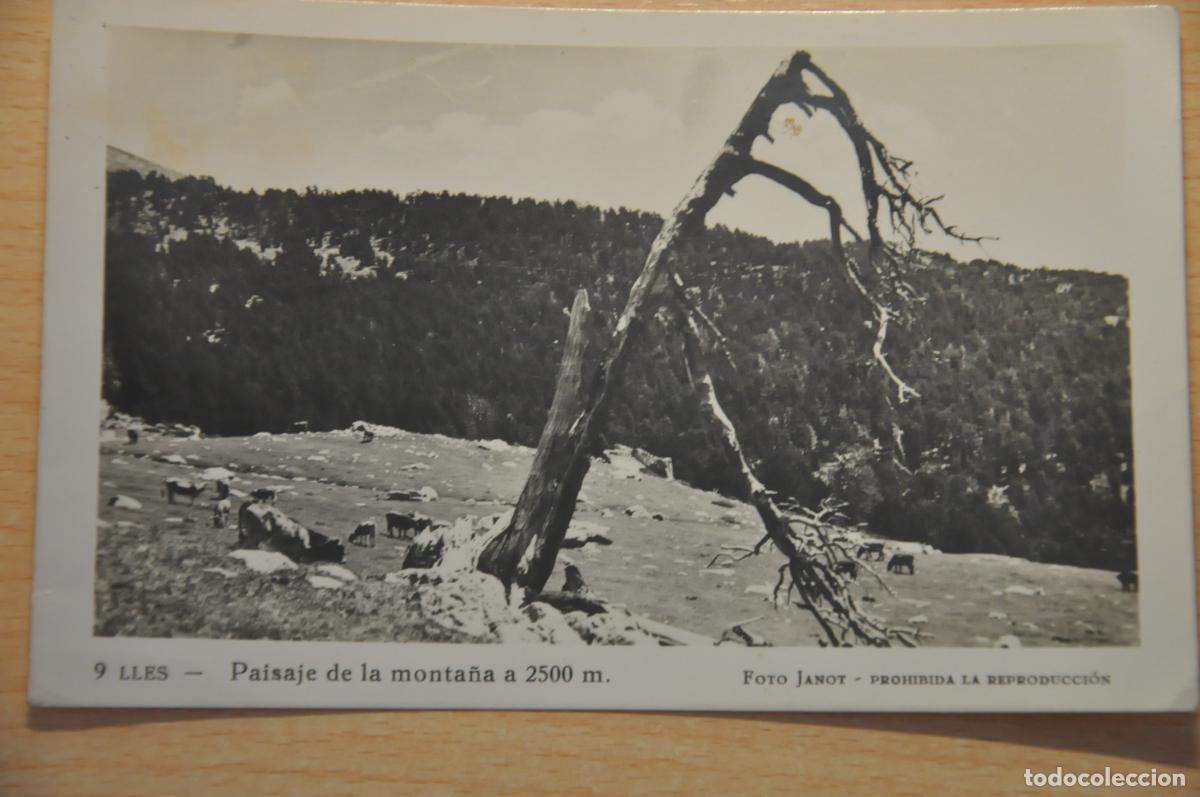 Postales: postal lles paisaje de la monta&ntilde;a foto janot