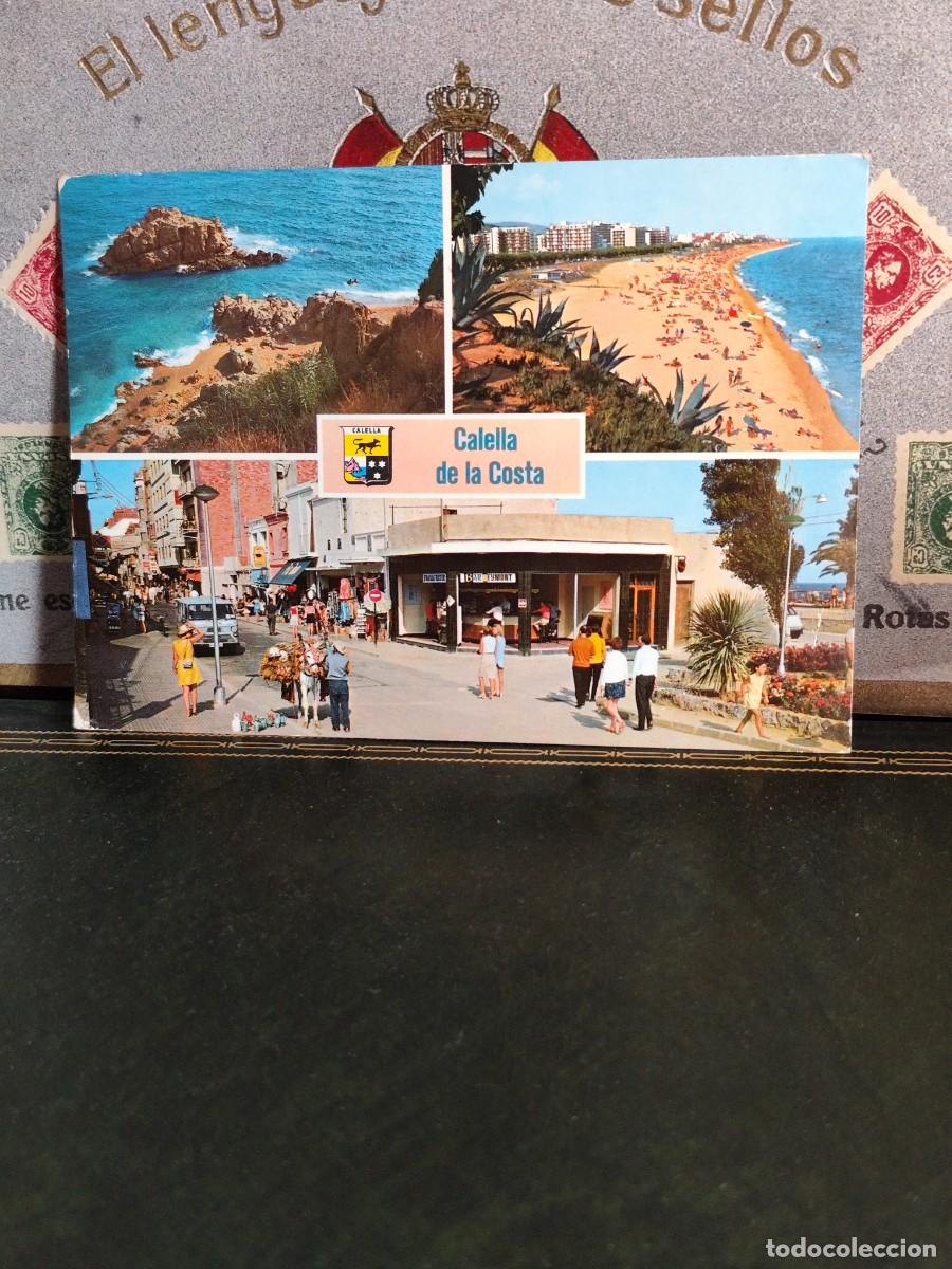 Postales: P5796 Postal Calella de la Costa 50308 Foto Campa&ntilde;a