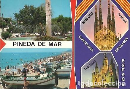 Postales: POSTAL A COLOR PINEDA DE MAR DISTRIBUIDORA CALELLA
