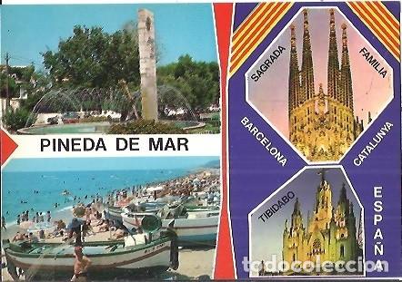 Postales: POSTAL A COLOR PINEDA DE MAR DISTRIBUIDORA CALELLA