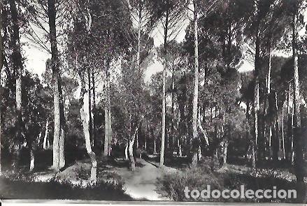 Postales: ANTIGUA POSTAL N&ordm; 15 CALDAS DE MALAVELLA GERONA BOSQUE DELS ENAMORATS COMERCIAL PRAT