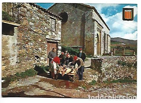 Postales: MATAN&Ccedil;A DEL PORC A MOLLO / SLAUGHTER OF THE PIG IN MOLLO.- MOLLO - GIRONA